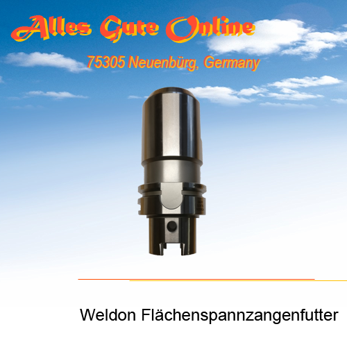 Weldon Flächenpannfutter HSK63A-SLN25-110 , G2,5/25.000