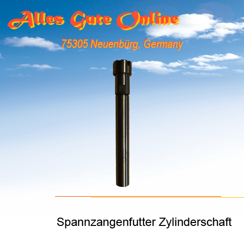 Spannzangenfutter 12mm ER11 4008E C12-ER11M-80L