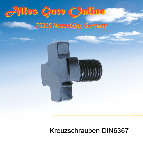 Kreuzschrauben 13mm für Kombi-Fräseraufsteckdorn